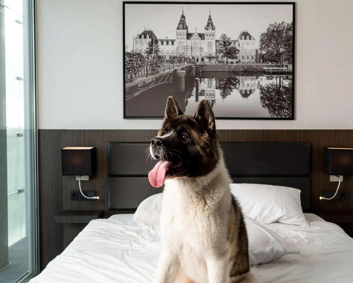 ****  Radisson Hotel & Suites Amsterdam South Amstelveen Holland